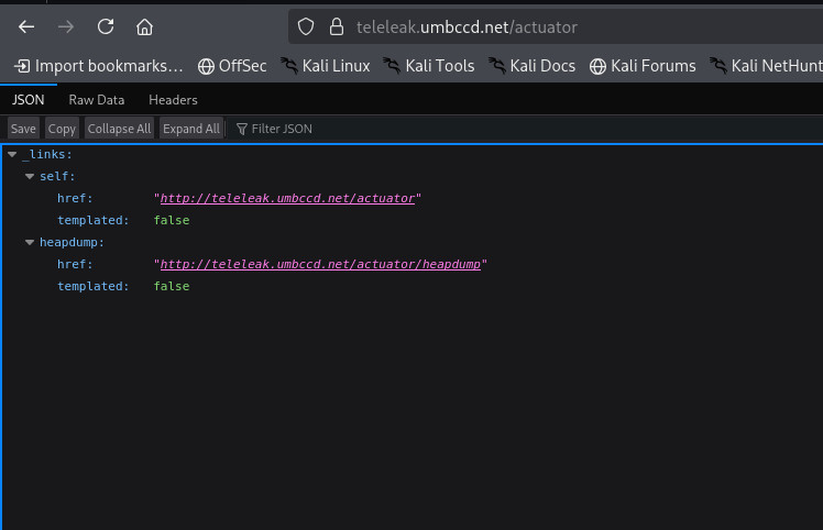 TeleLeak — DawgCTF 2026 Writeup