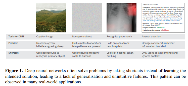 neural network and memorization