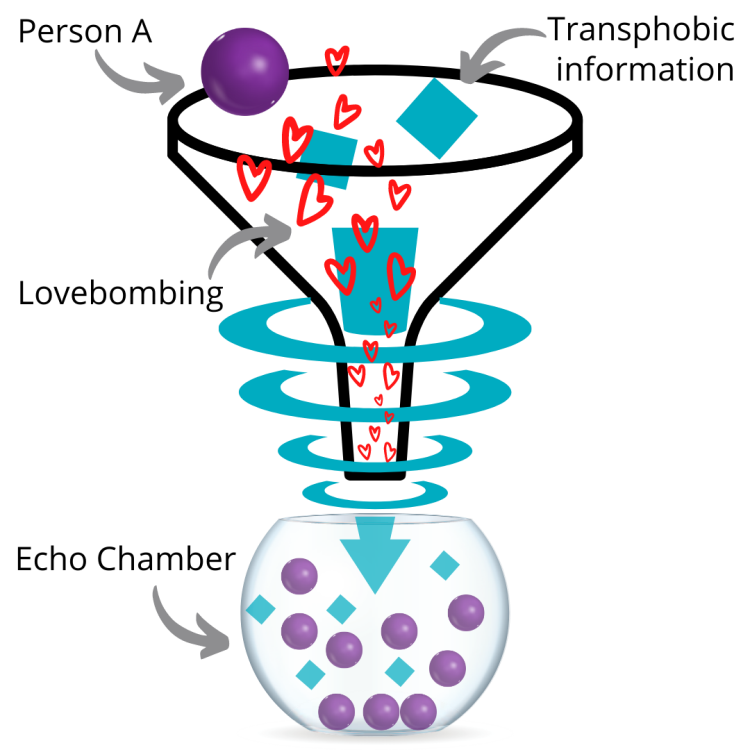 An outline of a funnel with a purple ball on the lip. An arrow to the purple ball labelled ‘person A’. Two small blue squares below the ball are labelled “transphobic information”. Inside the funnel are multiple outlines of red hearts with the label ‘lovebombing’ with concentric circles around the neck of the funnel leading to a blue arrow pointing outwards at the spout. Below the spout sits a transparent bowl labelled ‘echo chamber’ full of purple balls and blue squares.