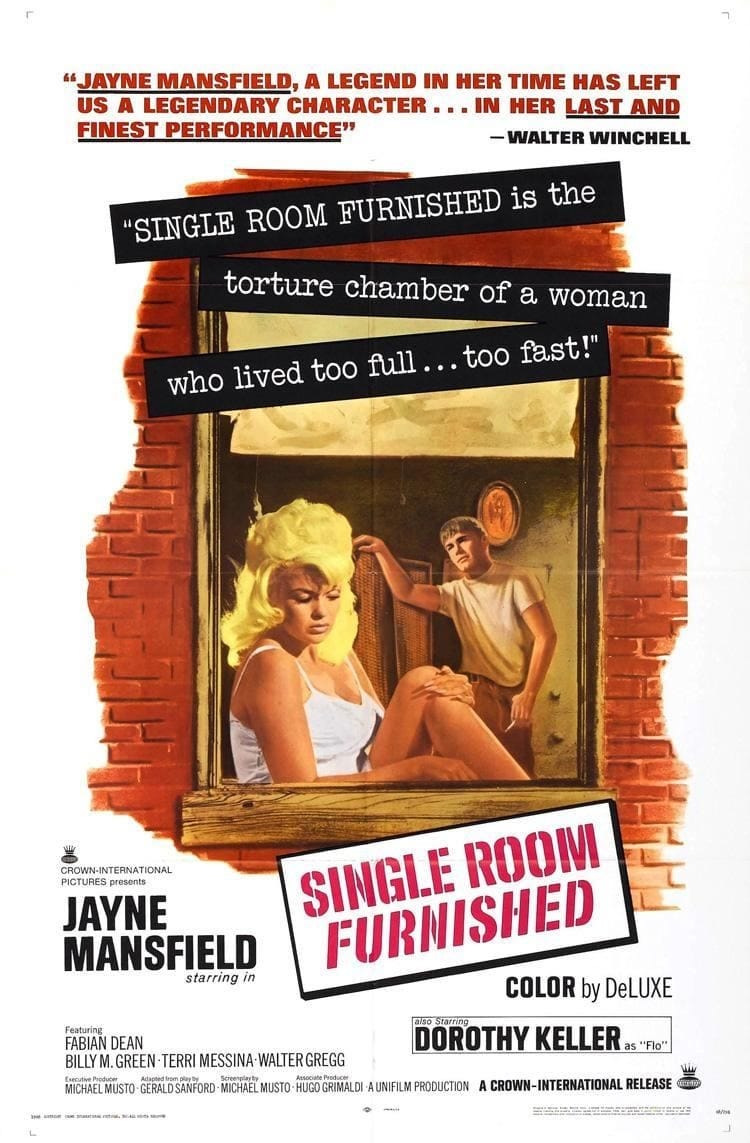 Single Room Furnished (1966) | Poster