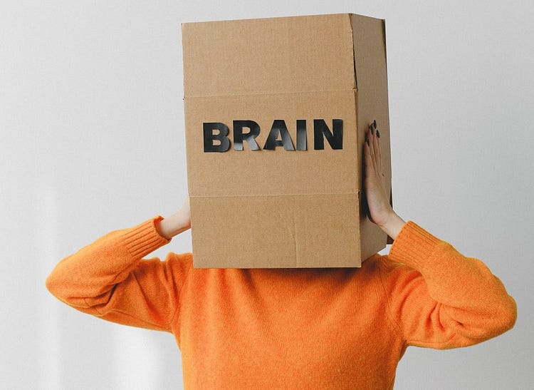 A woman with a brown cardboard box with the text "BRAIN" covering her head