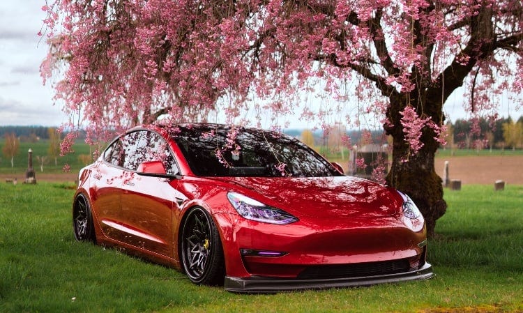 lady owned Tesla Model 3 custom