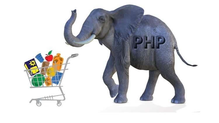 best PHP course for web development