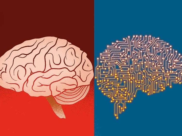 Neuroscience Inspired AI