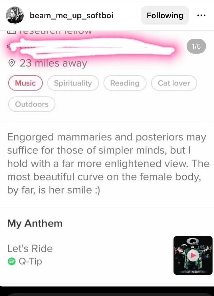 A screenshot of a man’s Tinder bio, which reads as follows: “Engorged mammaries and posteriors may suffice for those of simpler minds, but I hold with a far more enlightened view. The most beautiful curve on the female body, by far, is her smile. :)”