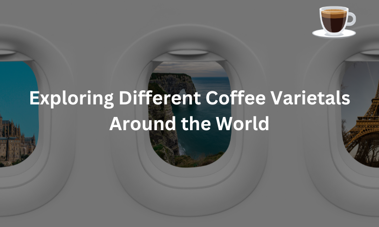 Exploring Different Coffee Varietals Around the World