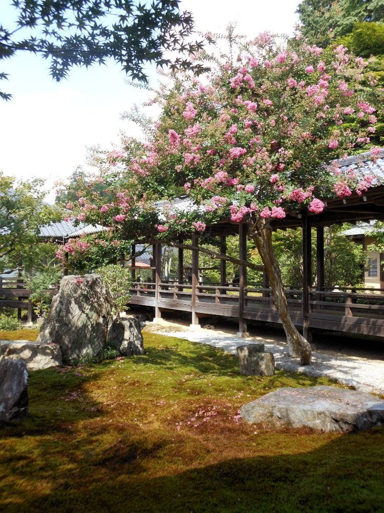 The attitude of the Japanese Zen garden towards plants