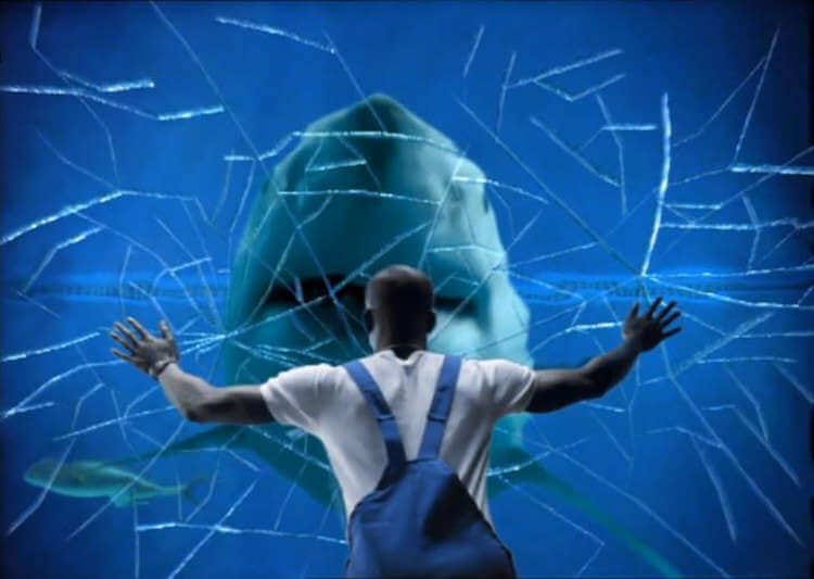 Picture of a man facing a breaking aquarium with an enormous shark inside