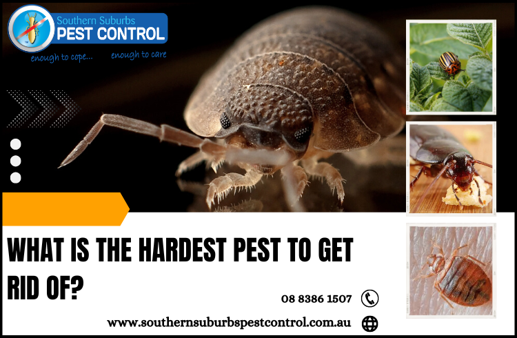 What is the hardest pest to get rid of?