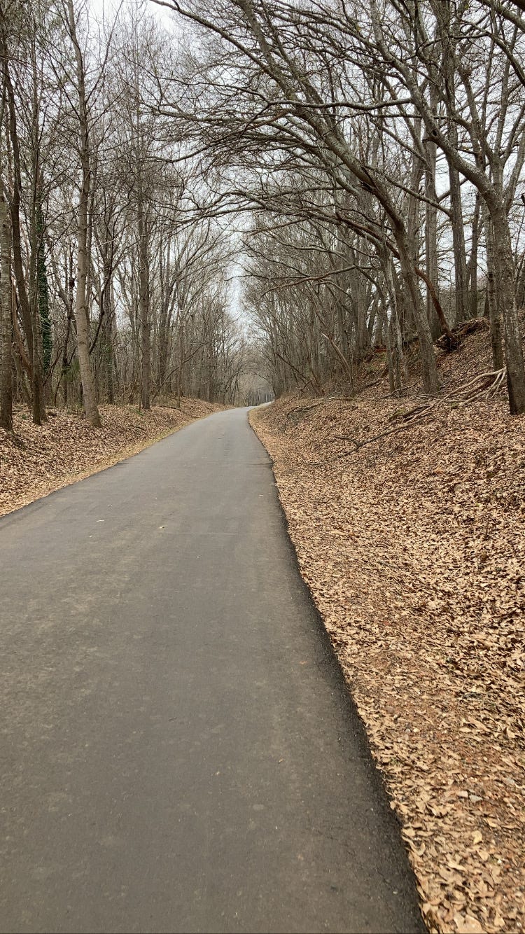 photo of a winter trail with barren trees