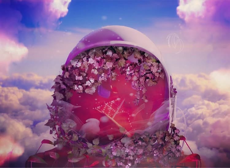 The Dreamer| Flowers from The Void