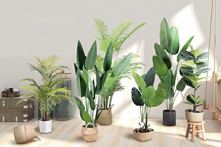 Artificial Plants