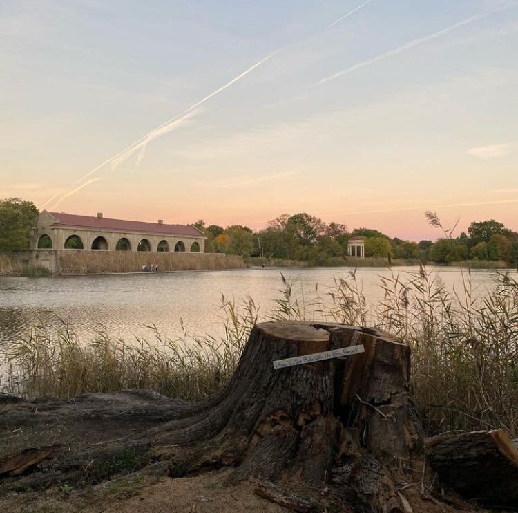 A lake landscape with a tree stump in the foreground with the long, arched 19th Century FDR Park Boathouse in the distance.