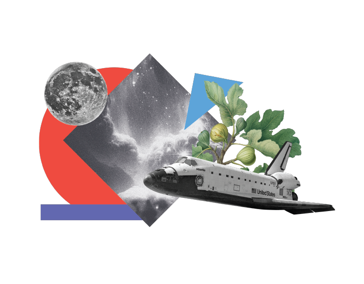 Black-and-white photographs of a planet, a cloud-filled night sky, and the Space Shuttle are at the center of a collage consisting also of a red circle, a blue triangle, a purple rectangle, and a botanical illustration of a fig tree branch.