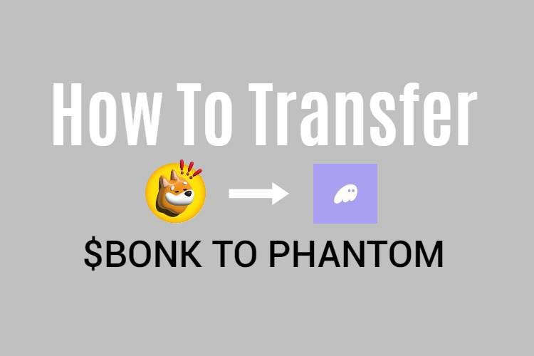 Send BONK to Phantom Wallet