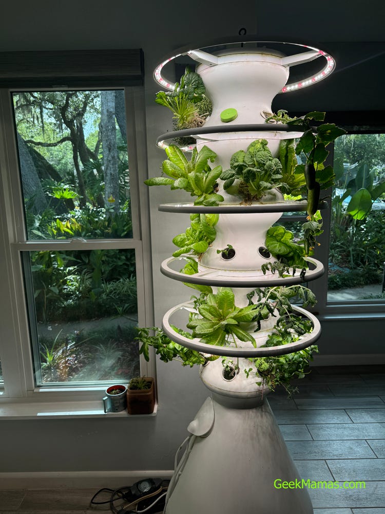 lettuce grow farmstand