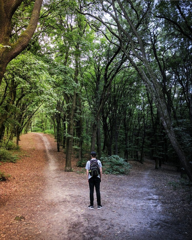 Guy at a crossroads in a forest