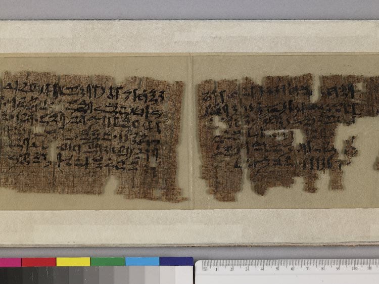 The Berlin 10499 papyrus tells the Tale of Sinuhe. It is one of the most well preserved copies of the story.