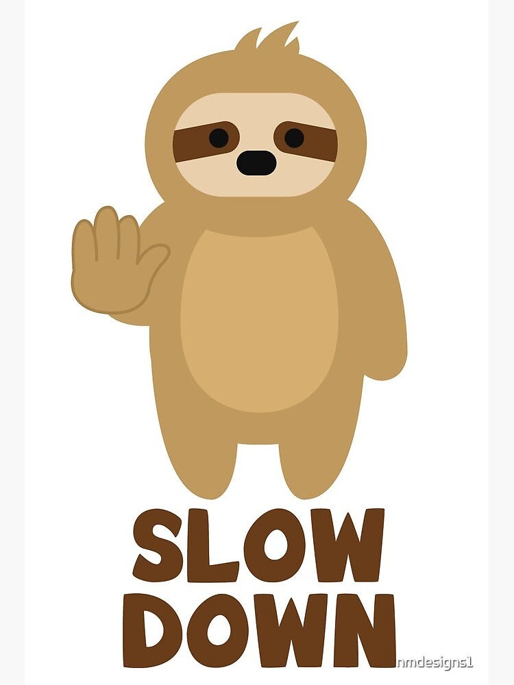 Take this sloths advice when publicly speaking and slow down!