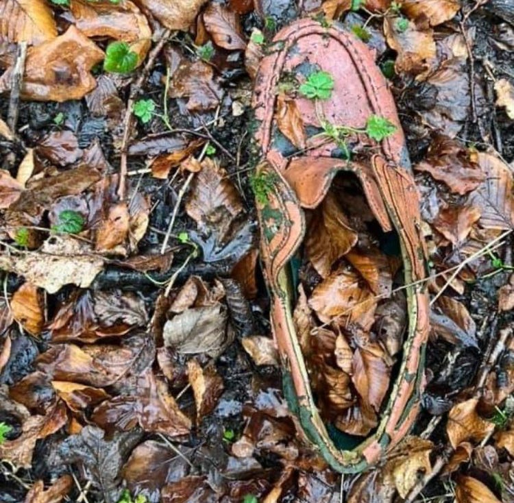 An old wet shoe lying discarded in a pile of leaves