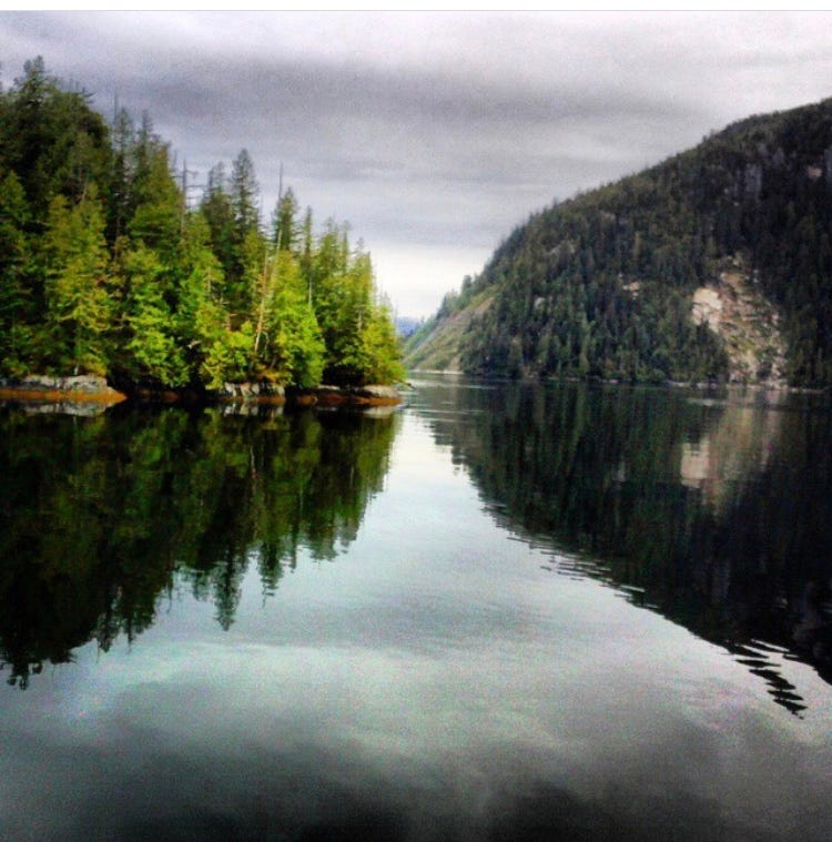 a picture of kelly green and citrus green pine trees and mirrored, glass-like calm waters inside alaskan passage
