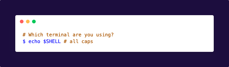 Terminal prompt: echo $SHELL (all caps)