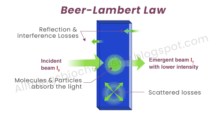 Beer Lambert Law Free Notes