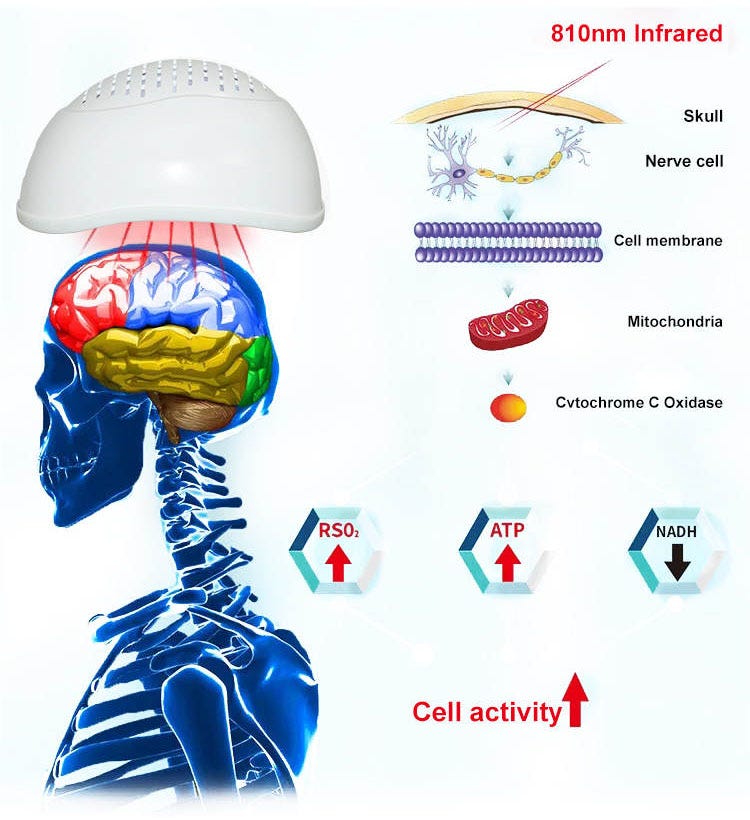 red light therapy effects on the brain — near infrared brain stimulation effects