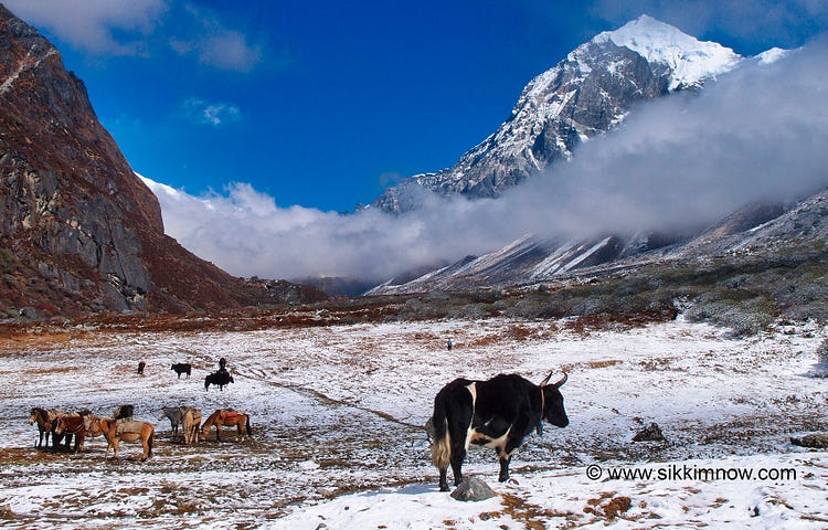 Sikkim tourist places photos