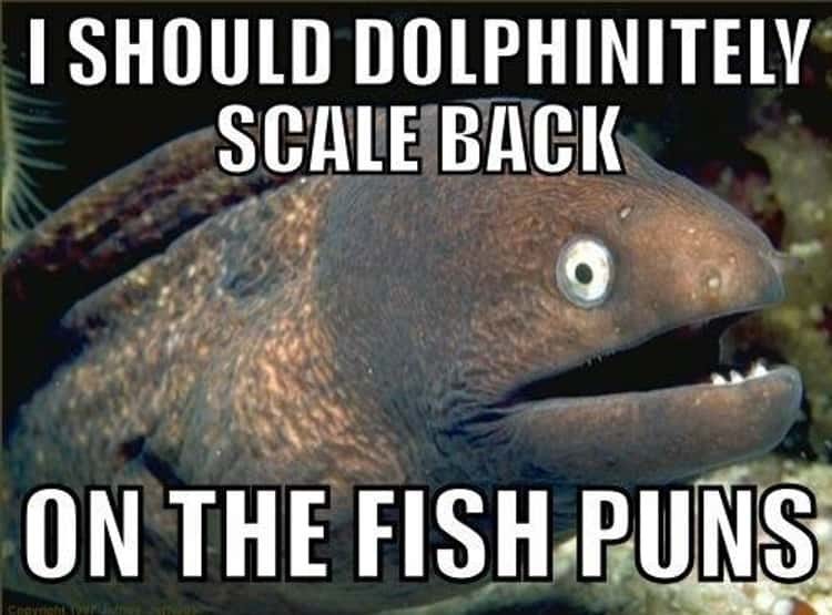 An image of an eel with the following text overlaid: “I should Dolphinately scale back on the fish puns”