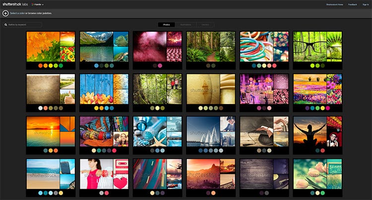 Imagem do site de paleta de cores “Shutterstock Palette”