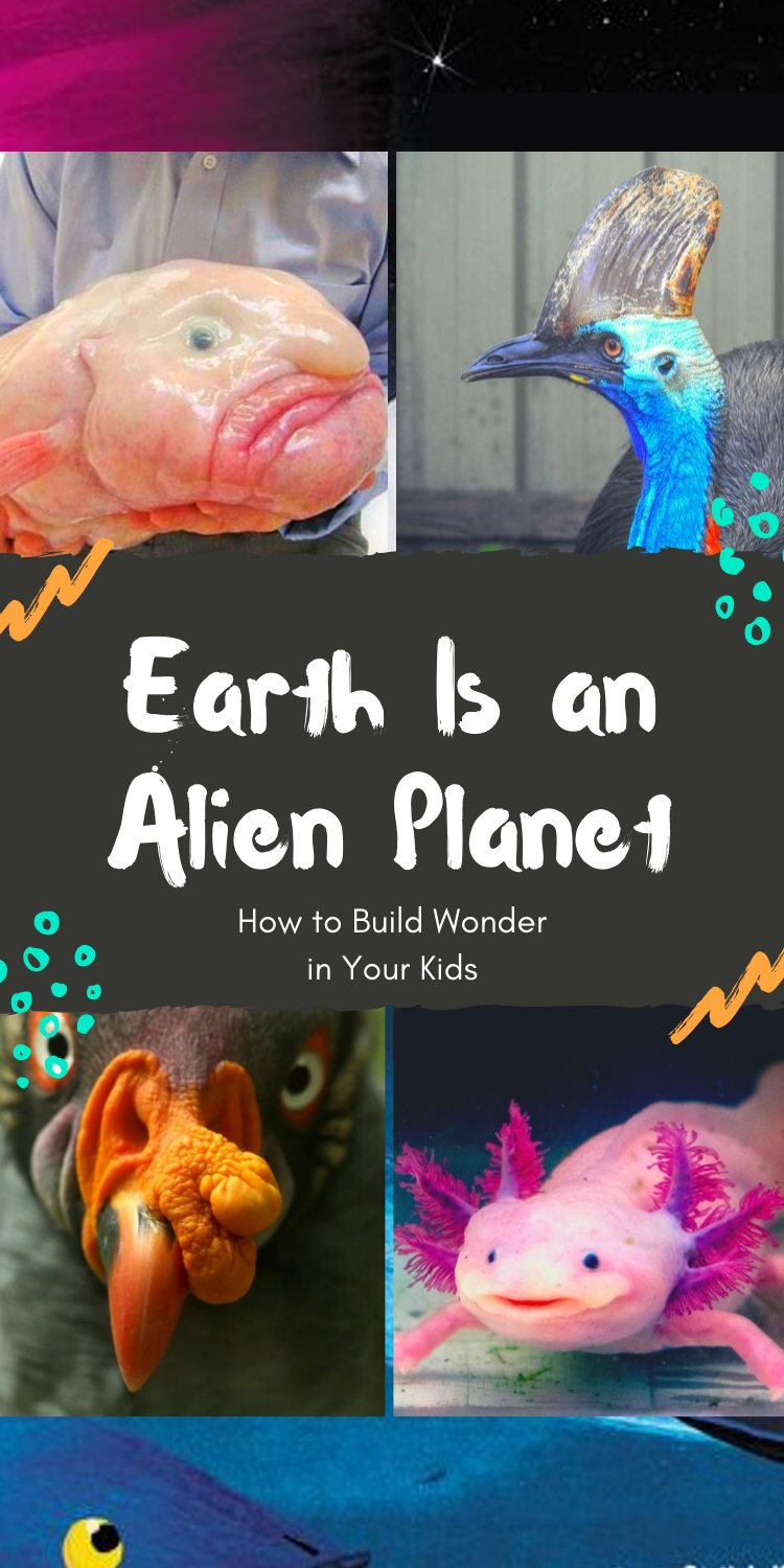 Pin: Earth is an Alien Planet: How to build wonder in your kids