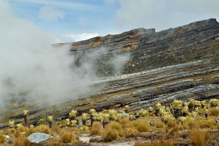 fog drifts along the rocks in El Cocuy National Park