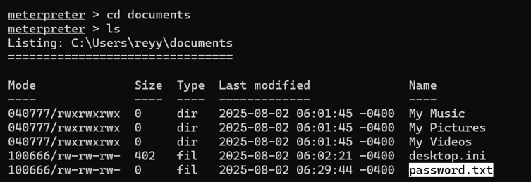 System Hacking