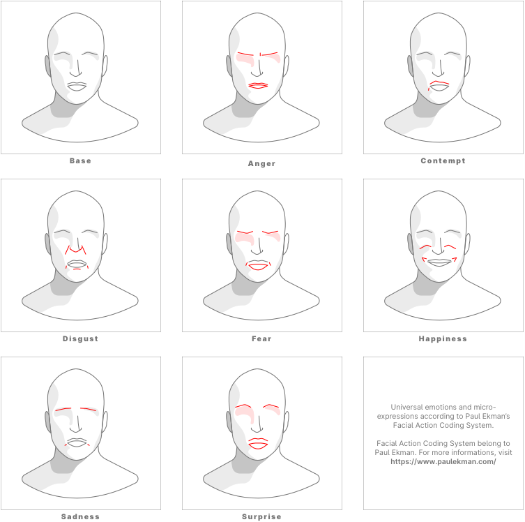 7 representations of the primary emotions and their micro-expressions : anger, contempt, disgust, fear, happiness, sadness, surprise.