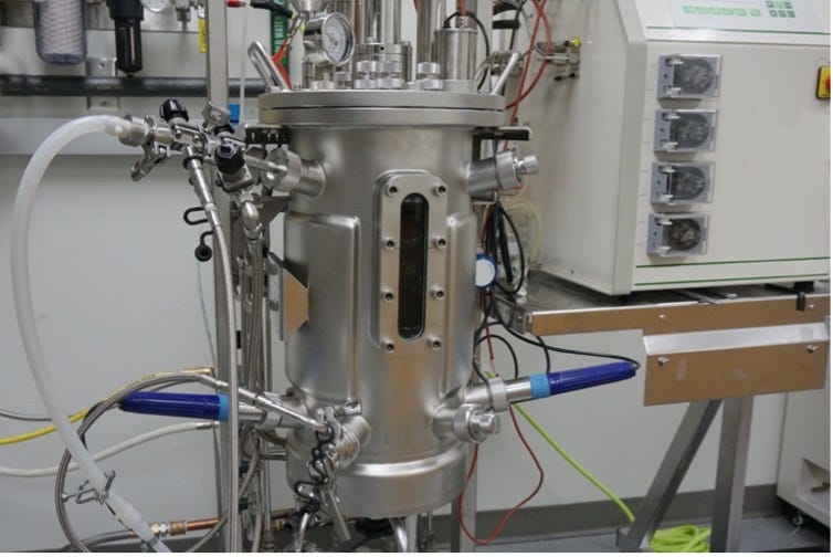 A Standard Microbial Bioreactor (Comparable to Hot-side Brewing Equipment)