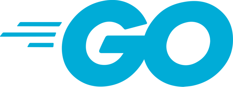 File Descriptor Lifecycle in Go