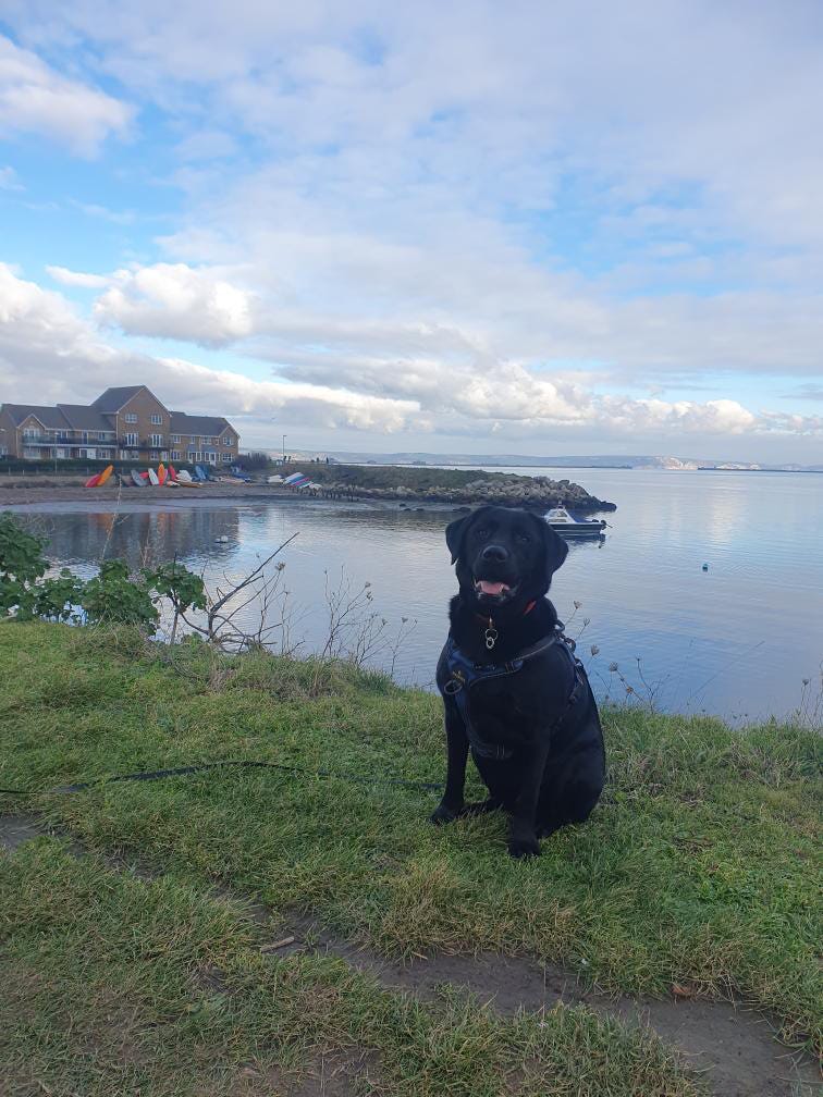 A black labrador sitting in front of a small beach with kayaks propped up against a wall, with a sky peppered with clouds.