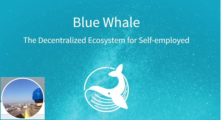 Blue whale ico review — the ecosystem for the freelancers with employment benefits