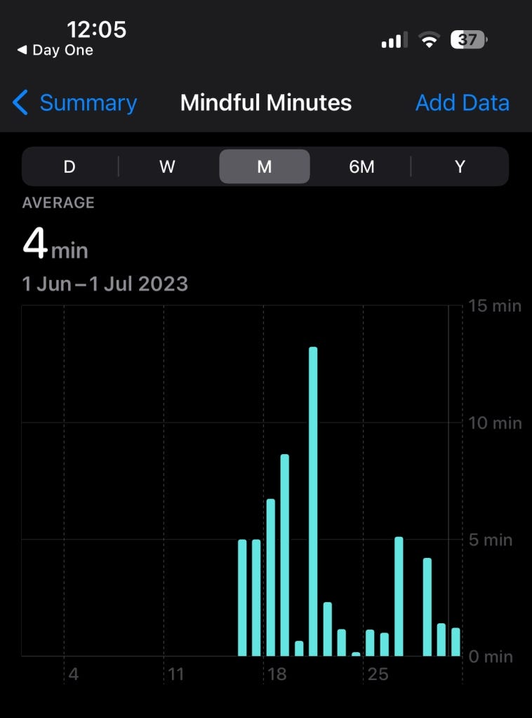 Day One App Apple Health Integration