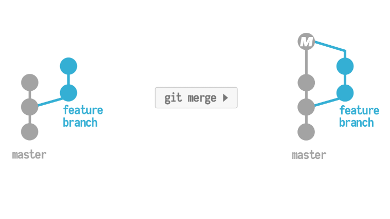 Branch structure of git merge