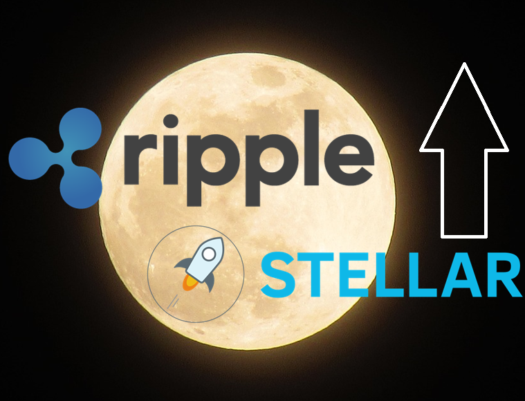 Stellar vs Ripple: What’s The Better Choice?