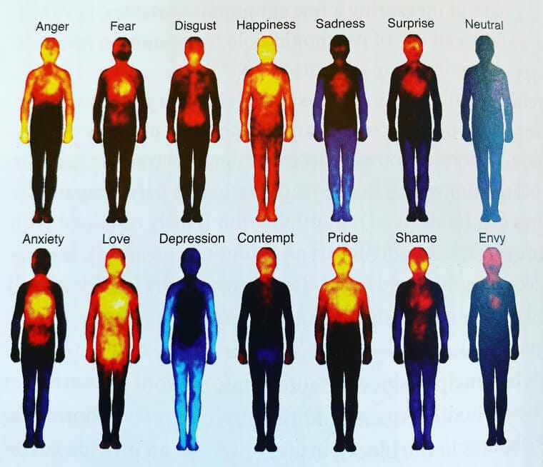 The body’s heat signature during different emotions.