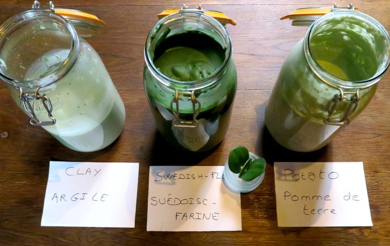 3 jars of green homecooked natural paints on an old wooden table : clay paint, flour paint & potato paint