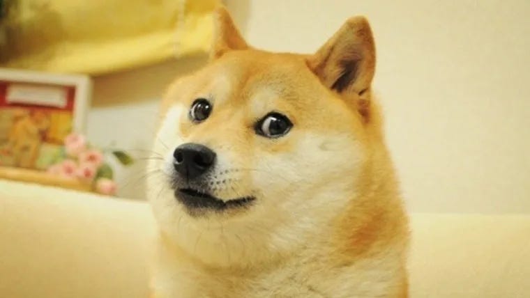 Shiba Inu Behind Viral ‘Doge’ Meme