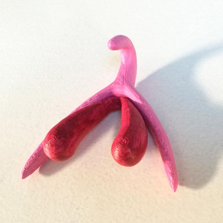 Clitoris uniqueness: Celebrating body diversity!