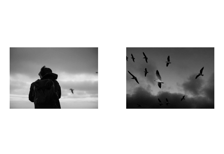 Two black and white photos side-by-side, from Hanying Xie’s photobook Behind the Camera. Left: silhouetted against a bleak sky, a few birds fly in the distance. Right: a flock of seagulls scattered across a stormy sky.