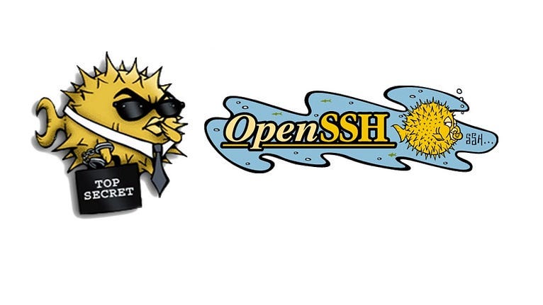 Disabling SSH Password Login on QNAP and Synology NAS Without Getting Locked Out