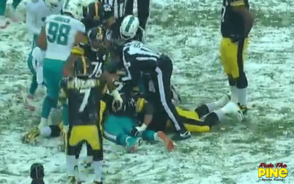 Steelers Thumb in Dolphins Butt
