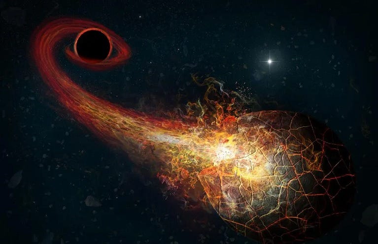 The Role of Primordial Black Holes in Decrypting the Mystery of Dark M